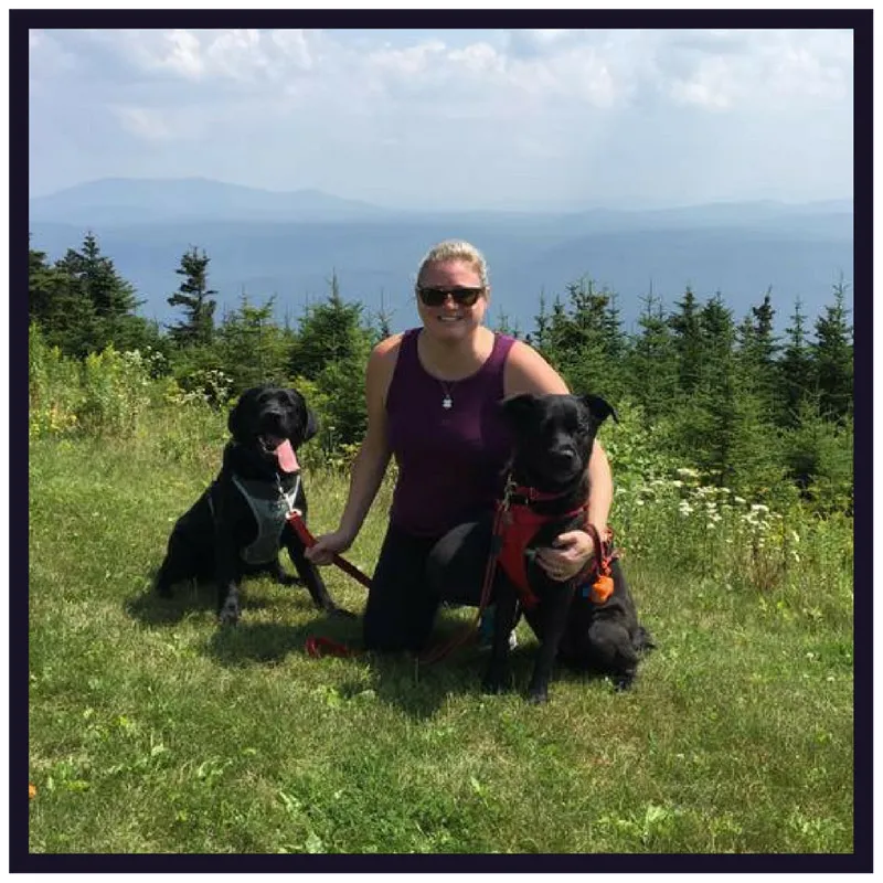 Pets Crave Love Katie Gingrich