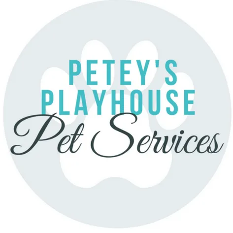 Client Spotlight - Petey’s Playhouse Pet Services!