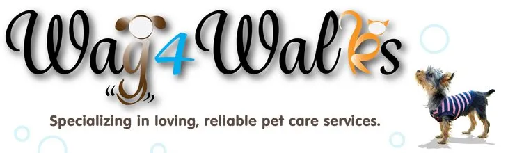 Client Spotlight - Wag 4 Walks