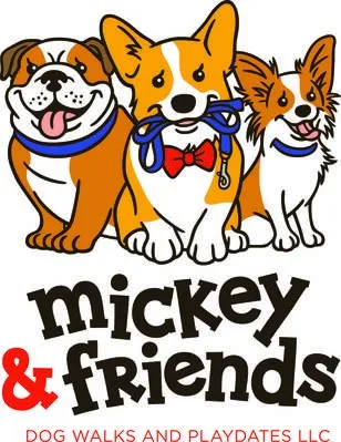 Client Spotlight - Mickey & Friends Dog Walks and Playdates!