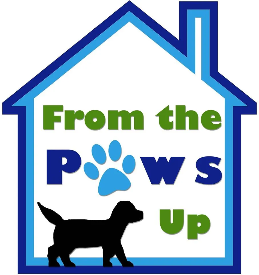 Client Spotlight - From The Paws Up!