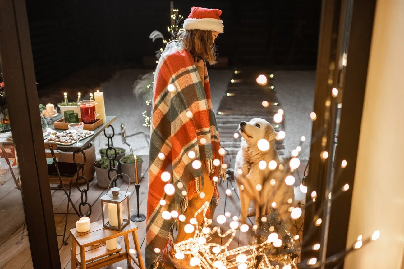 A Holiday Guide for Pet Sitters and Dog Walkers