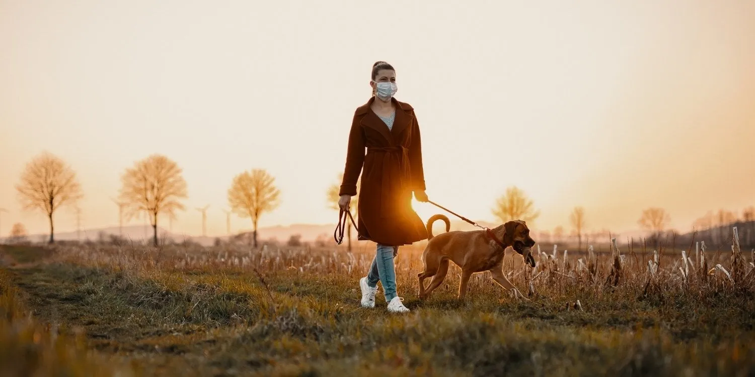 Pet Sitting and Dog Walking Post-COVID