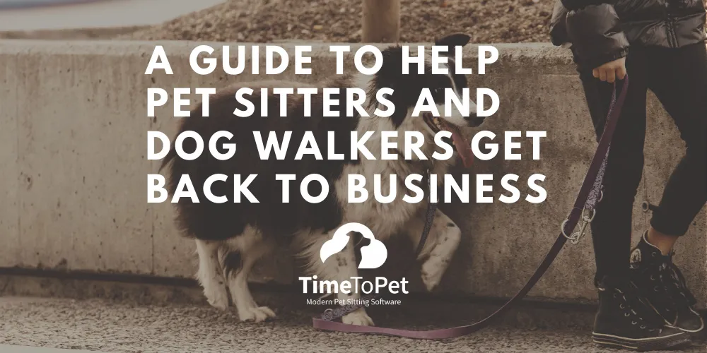 A Guide to Help Pet Sitters and Dog Walkers Get Back to Business