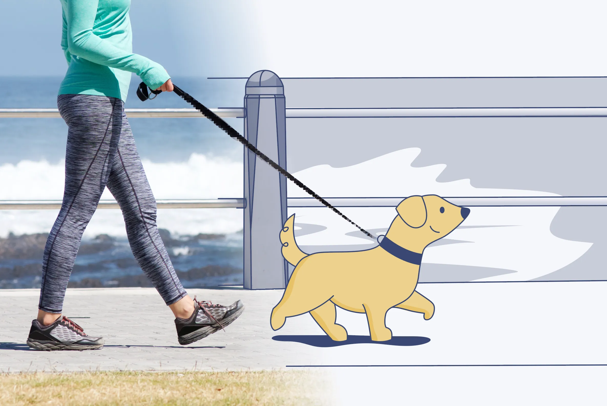 an illustration of a woman taking her dog for a walk near the seaside