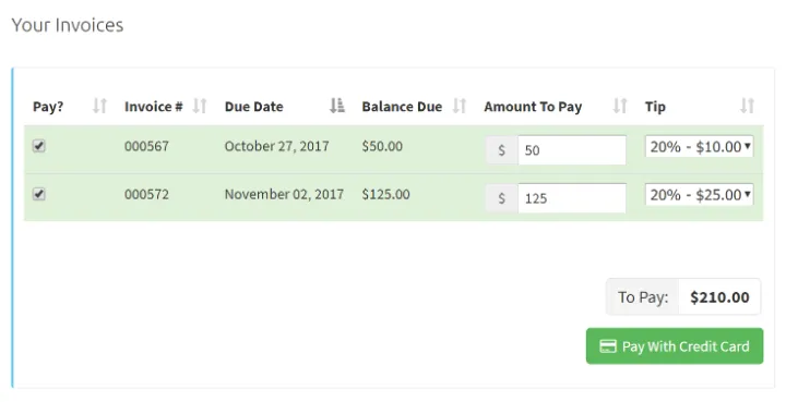 Client portal invoice payment screen with amount and tip fields and a Pay With Credit Card button.