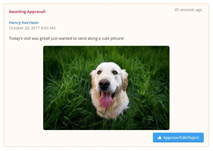 Visit report awaiting approval showing a golden retriever photo with Approve, Edit, or Reject options.