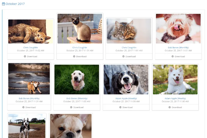 Photo gallery of pet visit pictures of cats and dogs, each with a date and download button.