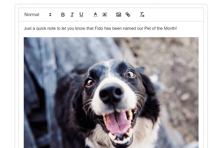 Bulk client email draft featuring a smiling dog photo and a Pet of the Month announcement.