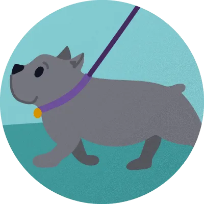 Illustration of a dog on a leash out for a walk