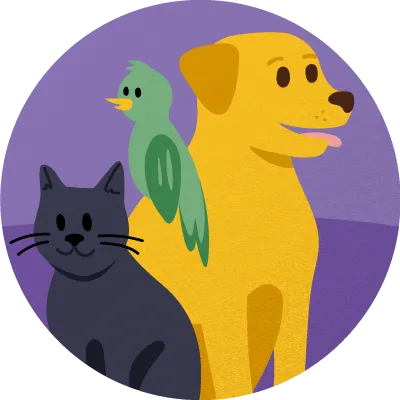 Illustration of a cat, a dog and a parrot together