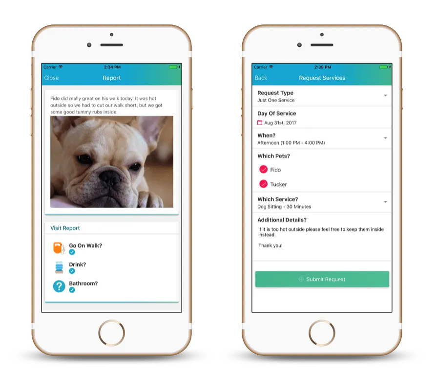 Time To Pet mobile app showing a visit report with dog photo and a schedule request
