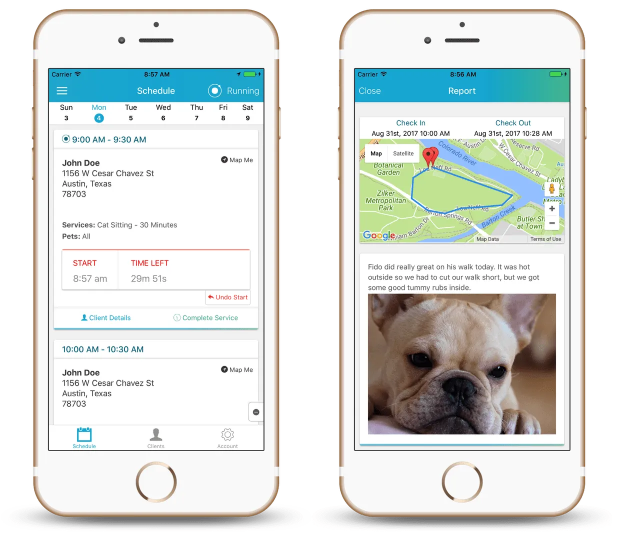Time To Pet mobile app showing the event feed and a visit report with a GPS walk map and dog photo