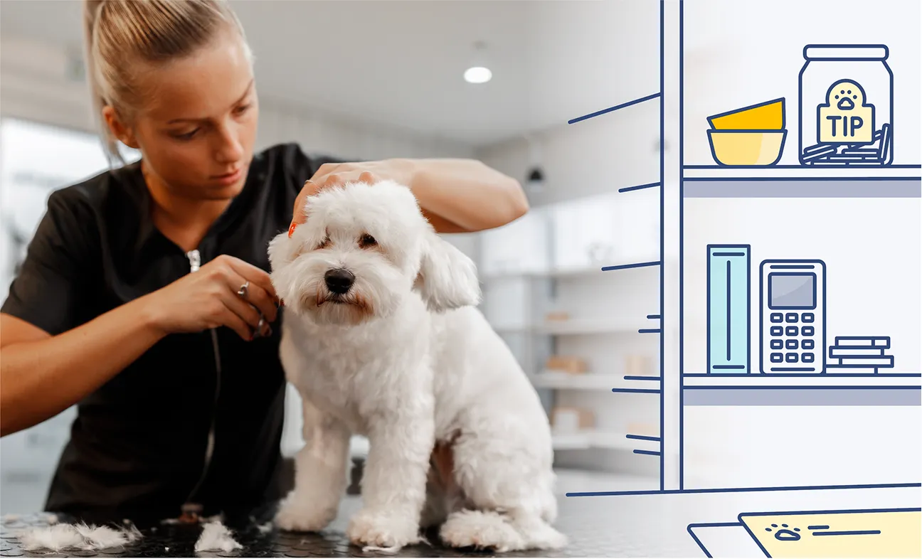 A woman groomer trims the fur of a small white fluffy dog standing on a grooming table in a pet grooming salon with shelves showing a tip jar, a calculator, and pet supplies in the background.