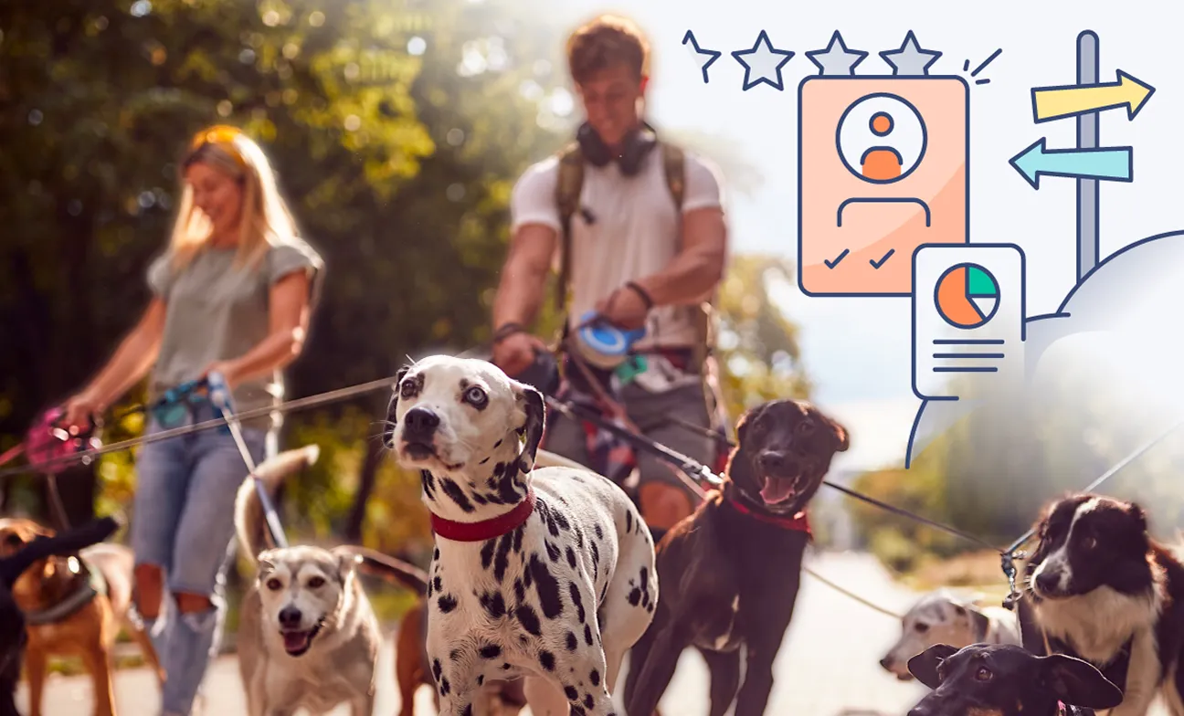Two people walking multiple dogs on leashes outdoors in a sunlit park, with overlay graphics including stars, a user profile icon with check marks, a pie chart, and directional arrows, suggesting staff or performance management.