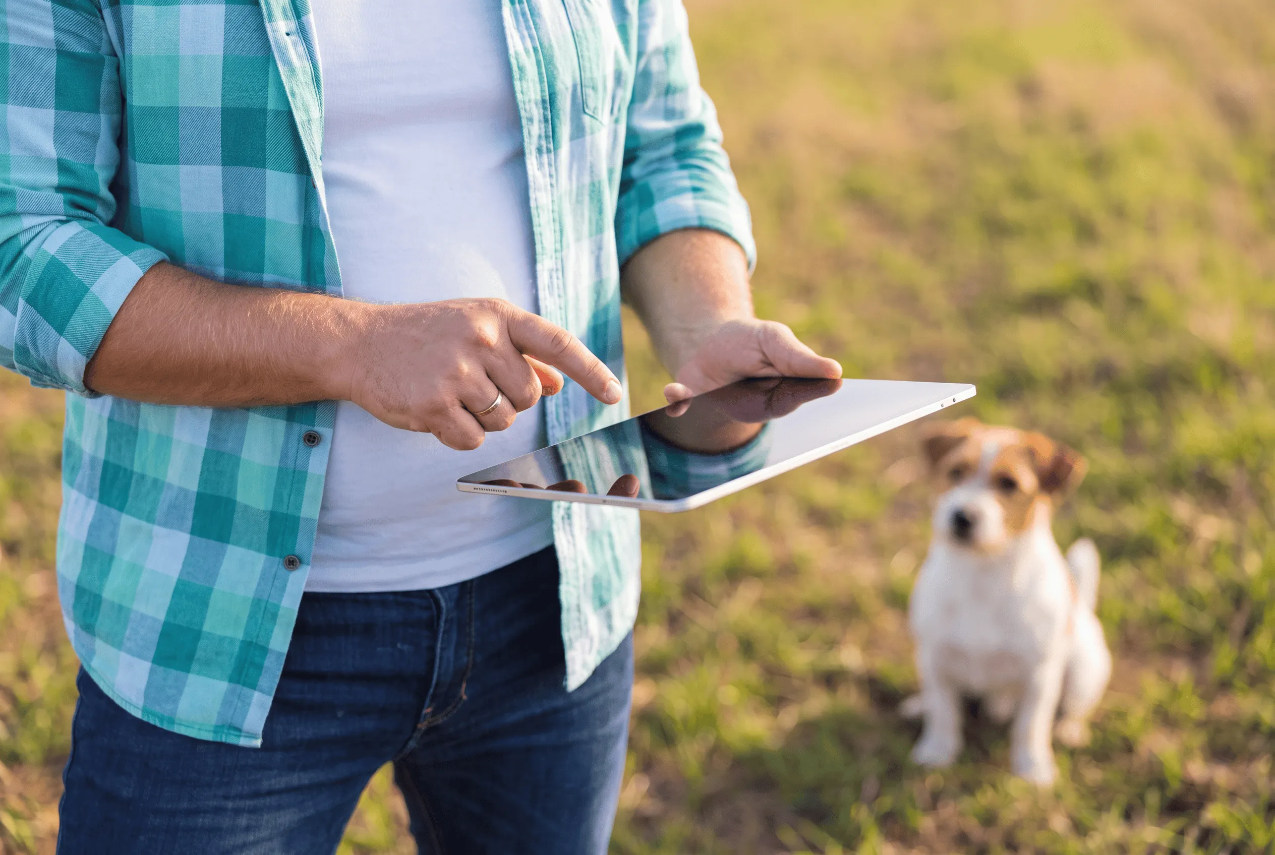 Person wearing a checkered green shirt and jeans holding and using a tablet outdoors with a small dog sitting on grass in the background.