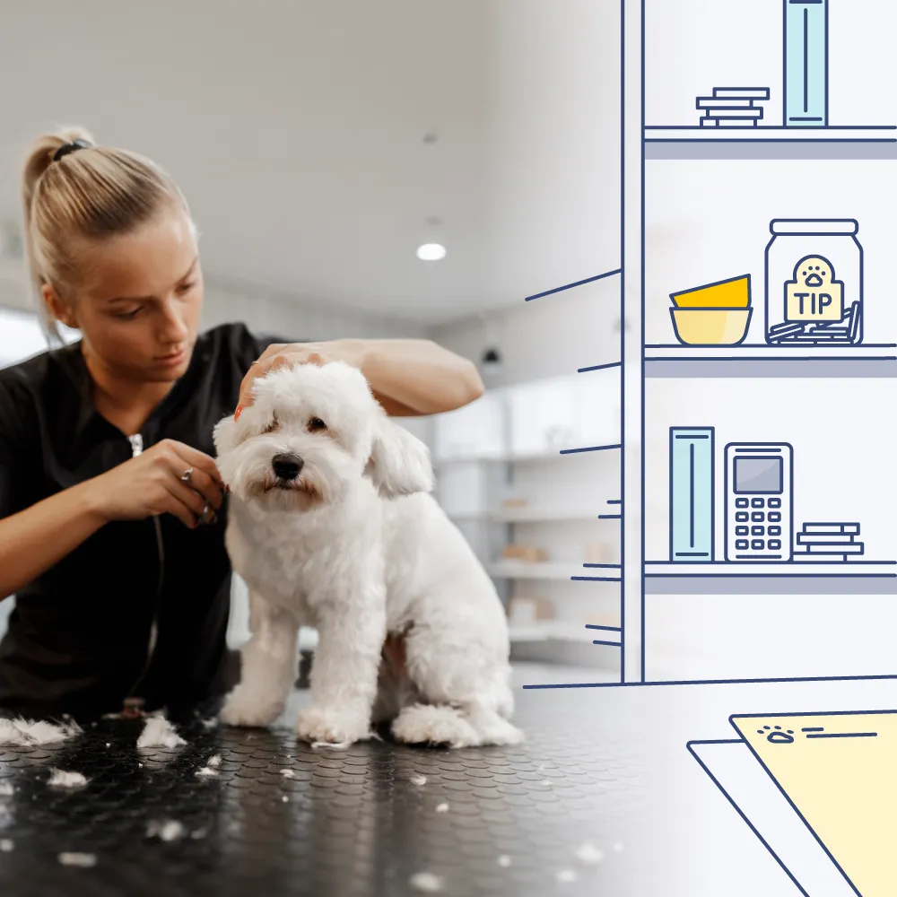 A woman grooming a small white dog on a textured black table with fur clippings around, in a bright indoor setting with shelves nearby displaying pet-related items like a tip jar and bowls.