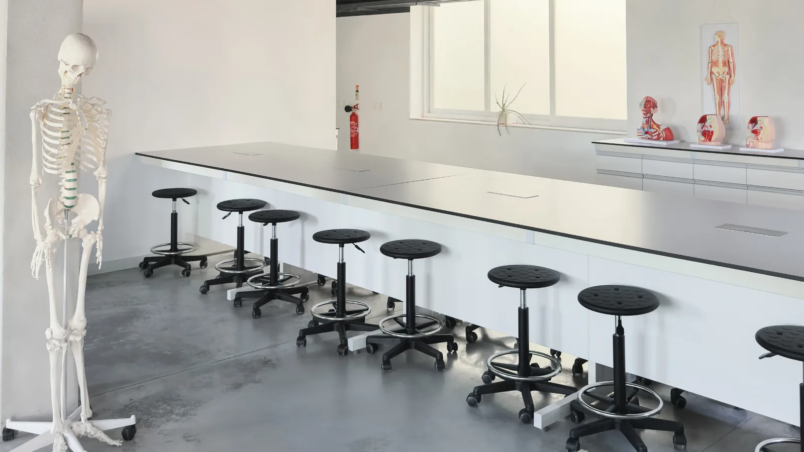 Anatomy room at MediCampus Europeo
