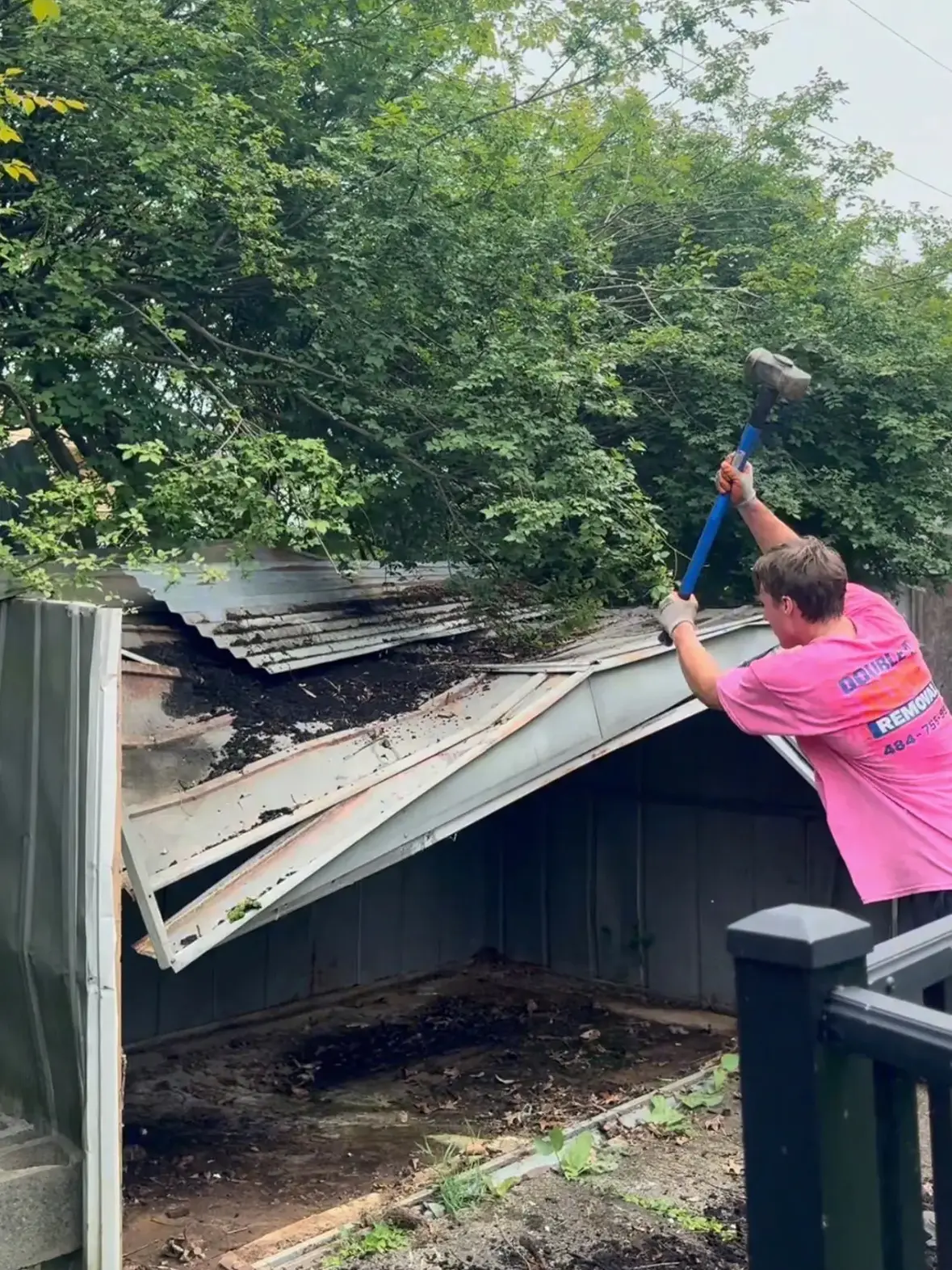 Man in pink shirt demolishing a metal shed roof with a blue-handled sledgehammer outdoors surrounded by green trees.