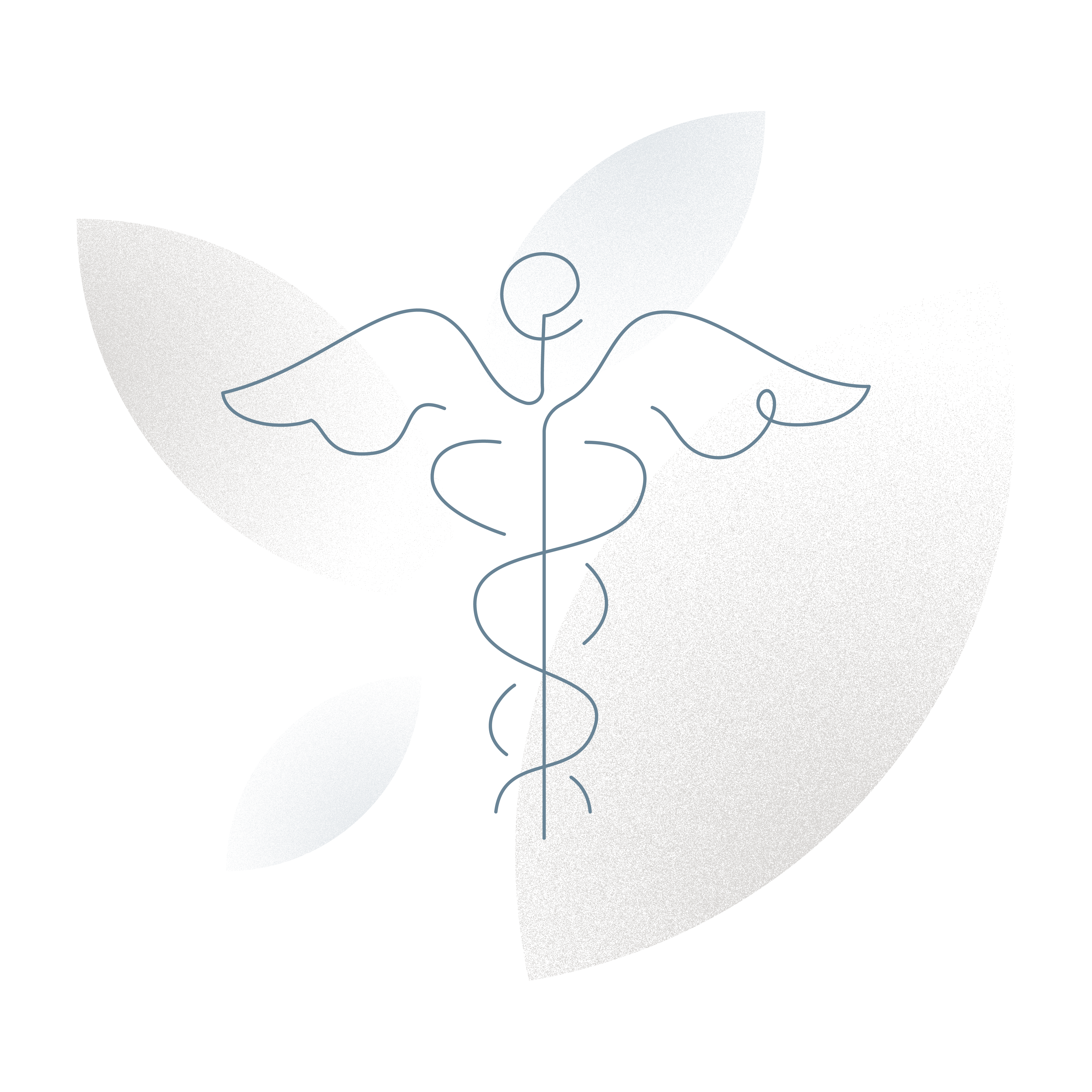 Icon of healthcare access