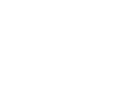 Chamberlain logo