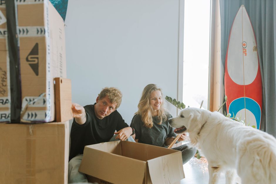 How To Move With Pets