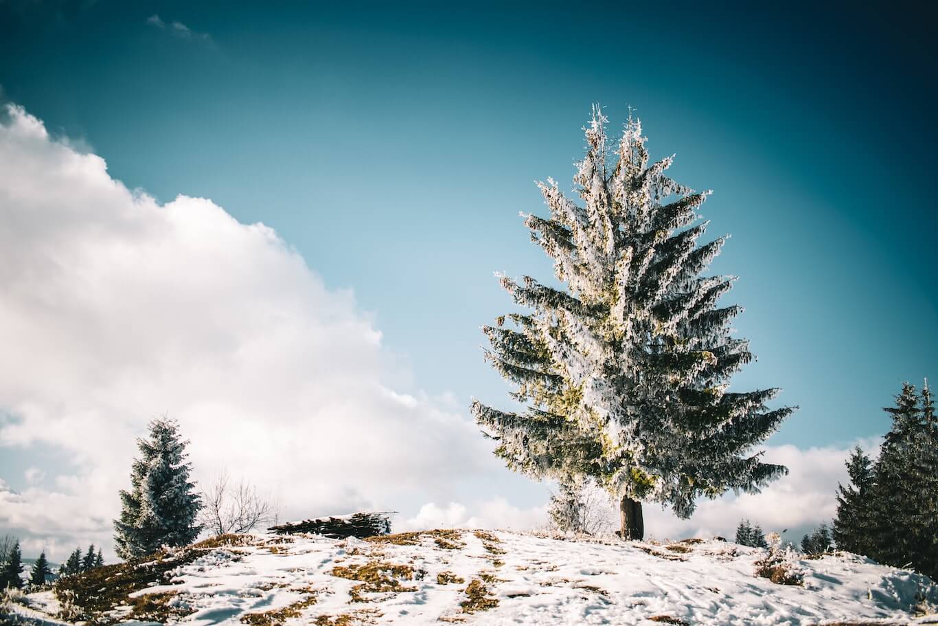 10 Tips for Shooting Landscape Photography