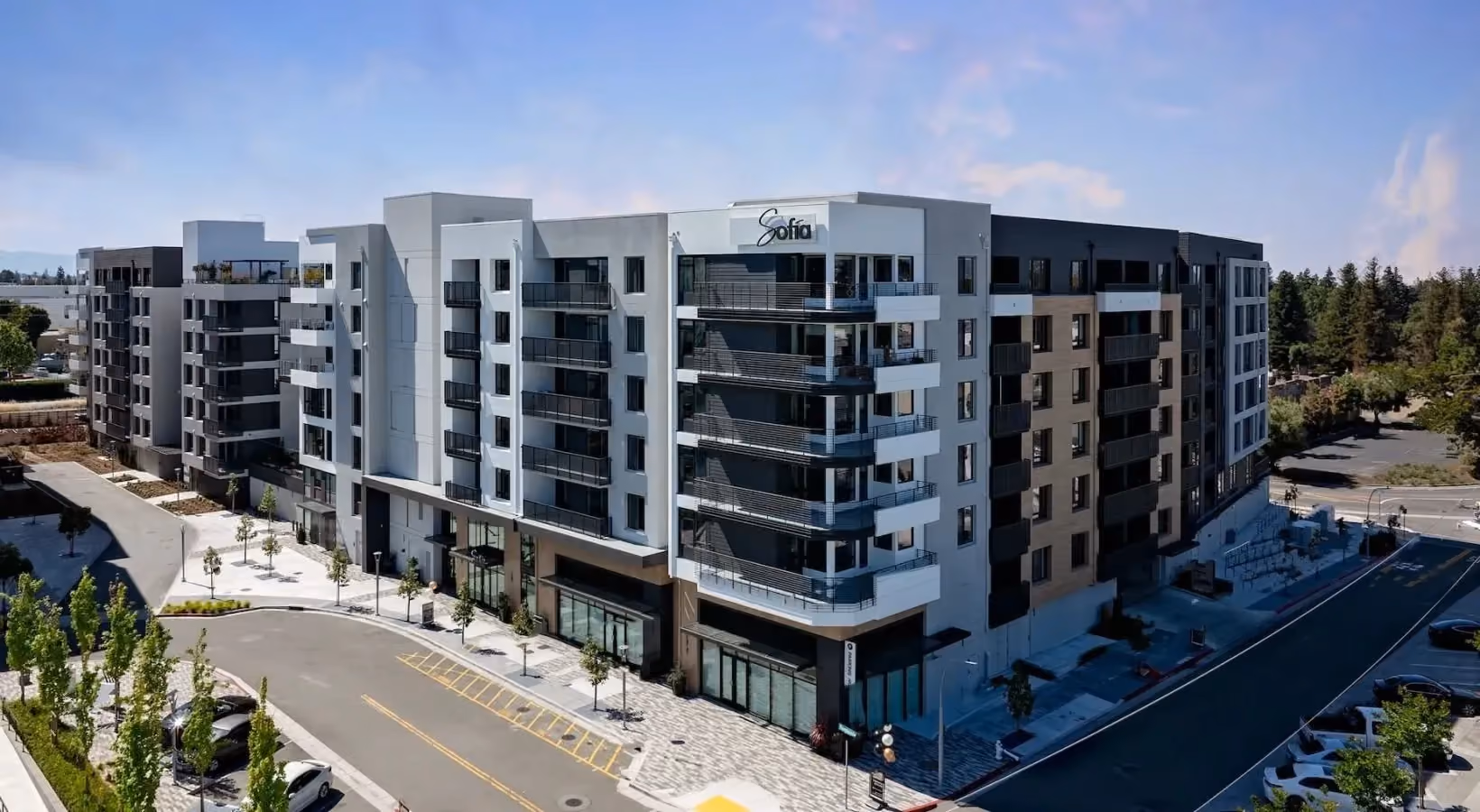 Drone View of Property