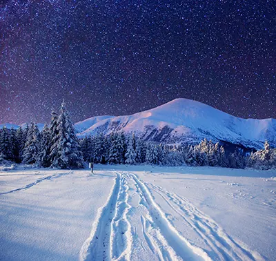 Evening Snow