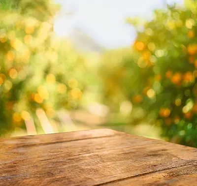 Golden Wood