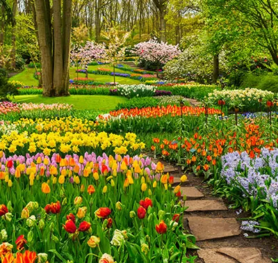 Luxe Garden