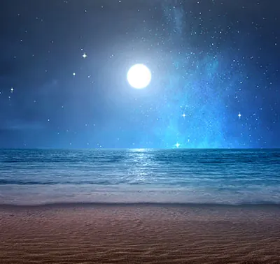 Midnight Swim