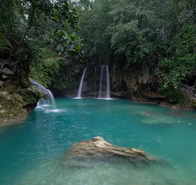 Oasis