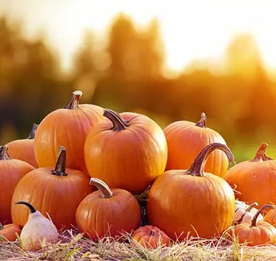 Pumpkin Spice