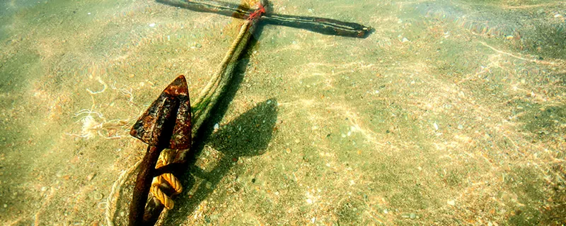 Connect with your customers through “Emotional Anchoring”