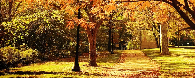 Autumn Scents Can Energize Your Staff, Decrease Stress and Increase Sales
