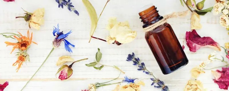 What is Scent Marketing: The Most Powerful Scent Solution for Business