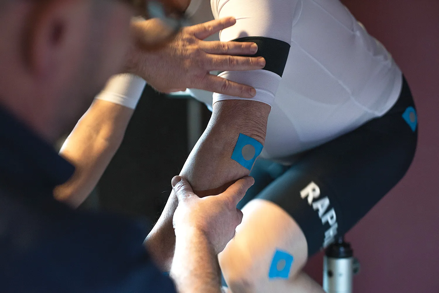 Markers placed on the rider's joints during the fit