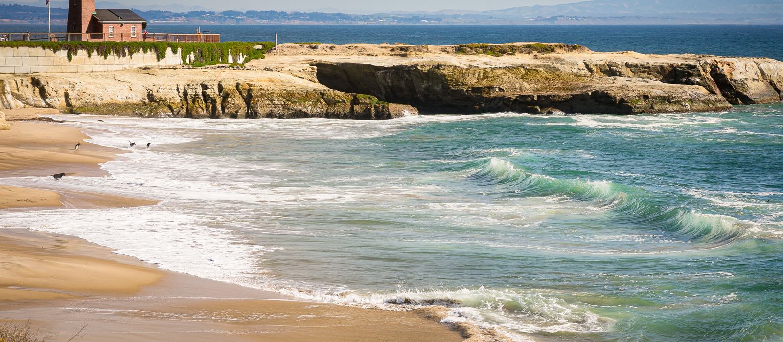 The Santa Cruz coastline north of Watsonville