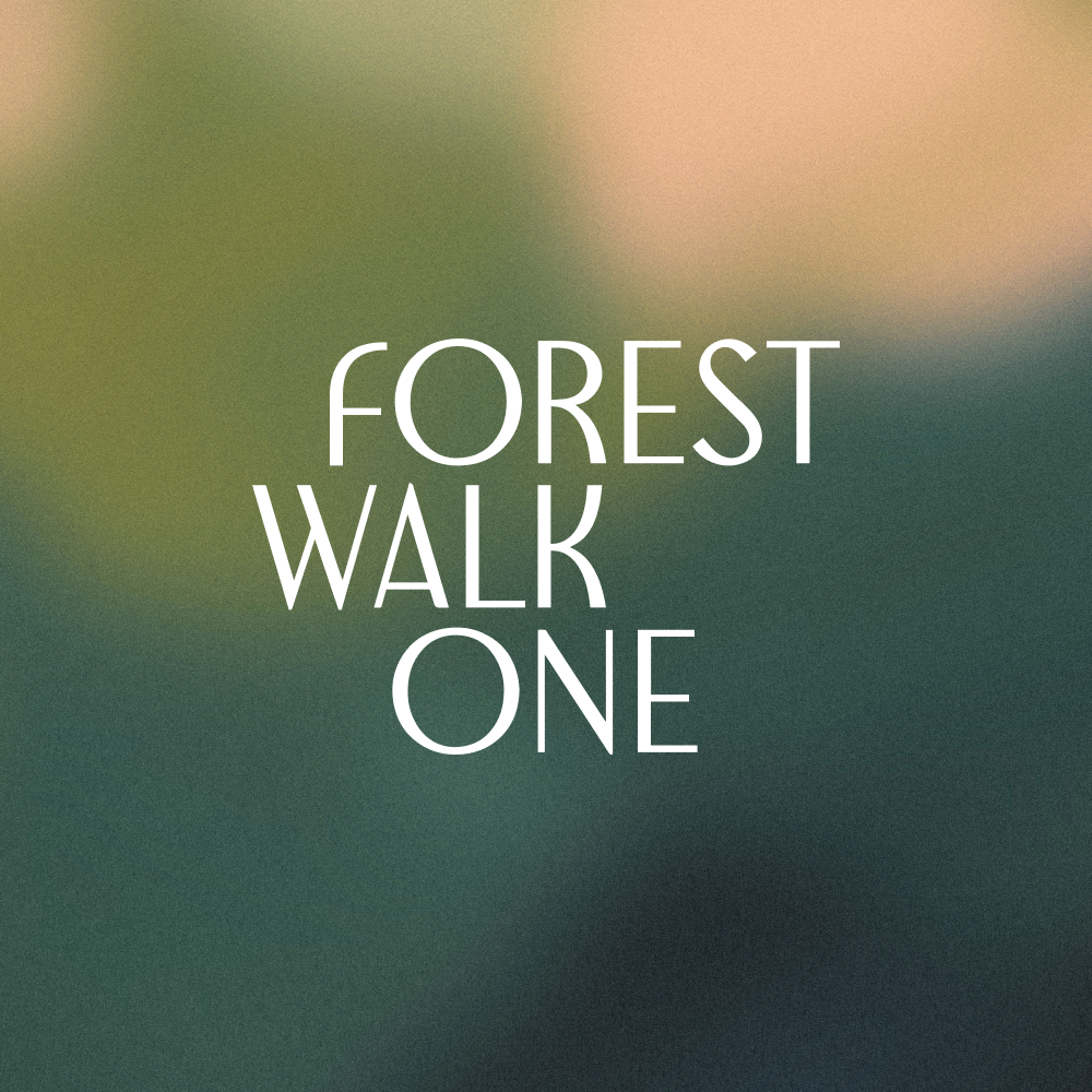 Forest Walk
