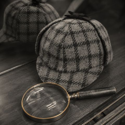 Primary Photograph