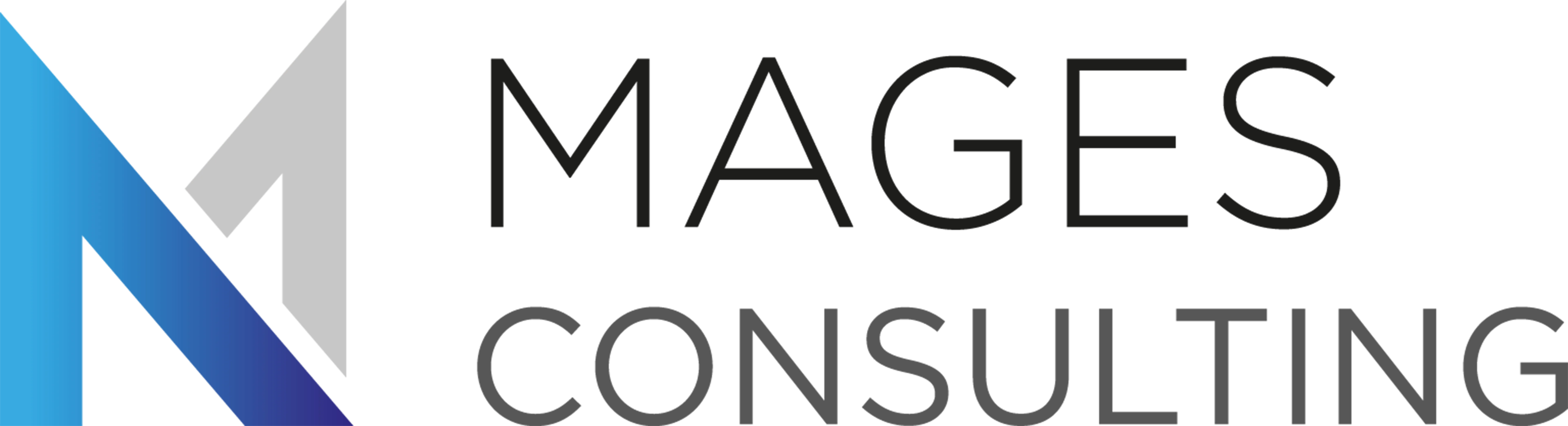 Mages Consulting Logo, zur Startseite