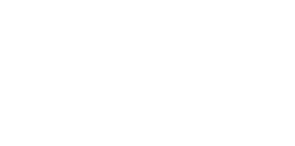 Analog Informatics