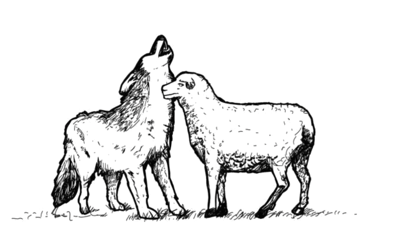 Original hand-drawn wolf and sheep mark of Lupacta