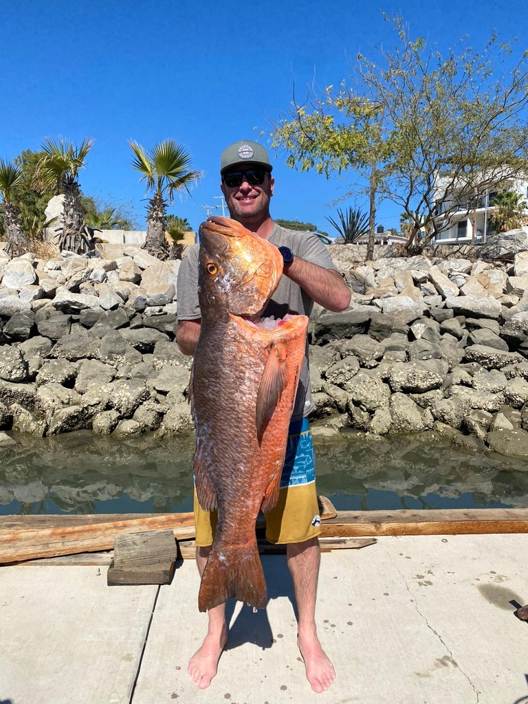 A man in a cap and sunglasses holds up a red snapper nearly as long as he is tall while standing barefoot on a concrete dock.