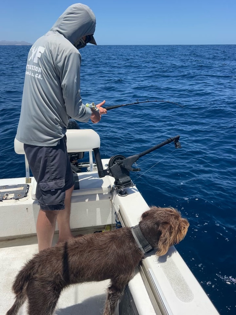 An angler in a hooded sun shirt works a rod at the bow while a shaggy brown dog watches the water over the gunwale.