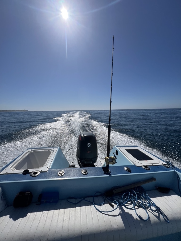 The view astern from a light blue panga underway, with a fishing rod in its holder, a single outboard and a white wake trailing under bright sun.