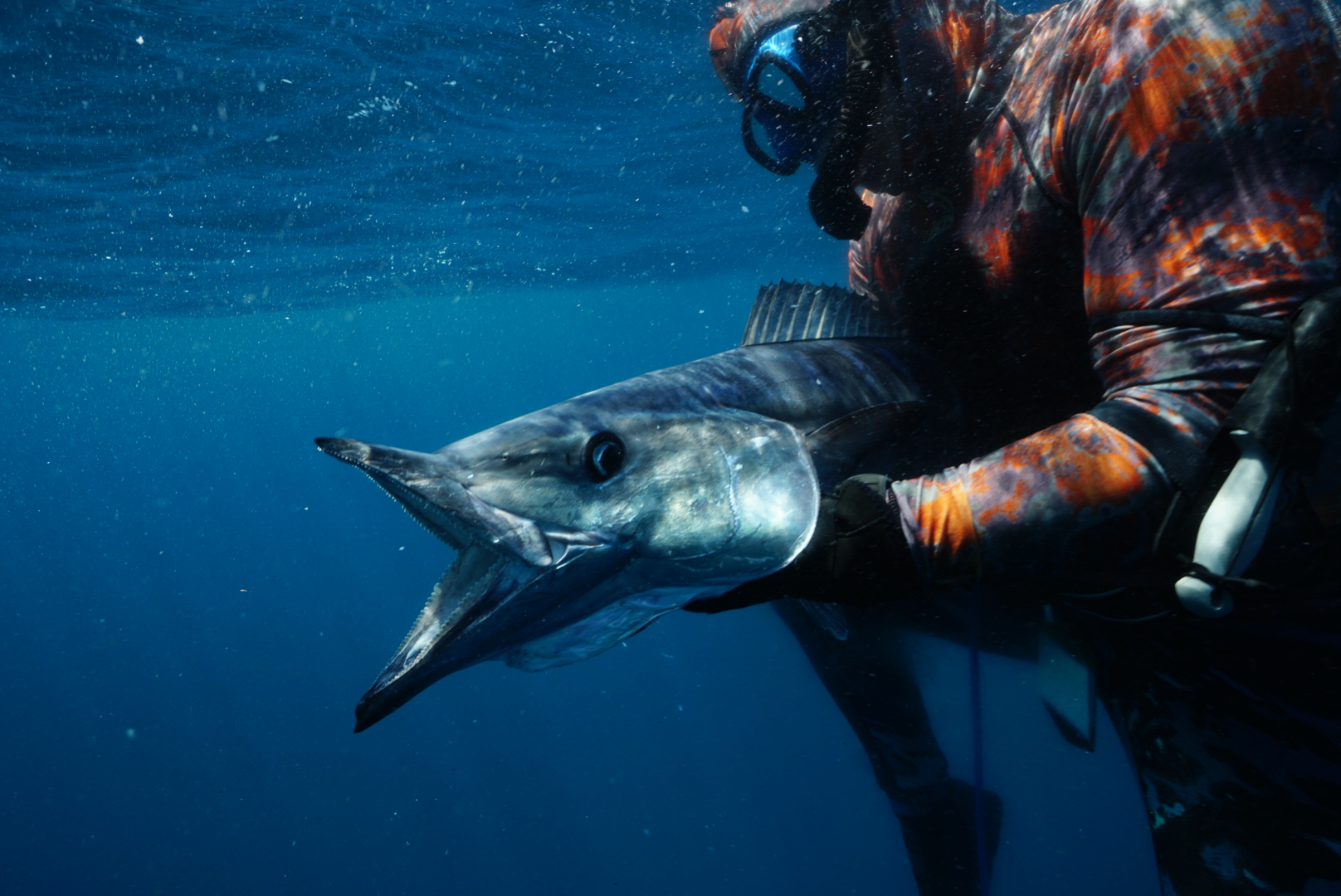 A diver in a camouflage wetsuit and mask holds a large wahoo underwater in deep blue water, the fish's pointed snout toward the camera.