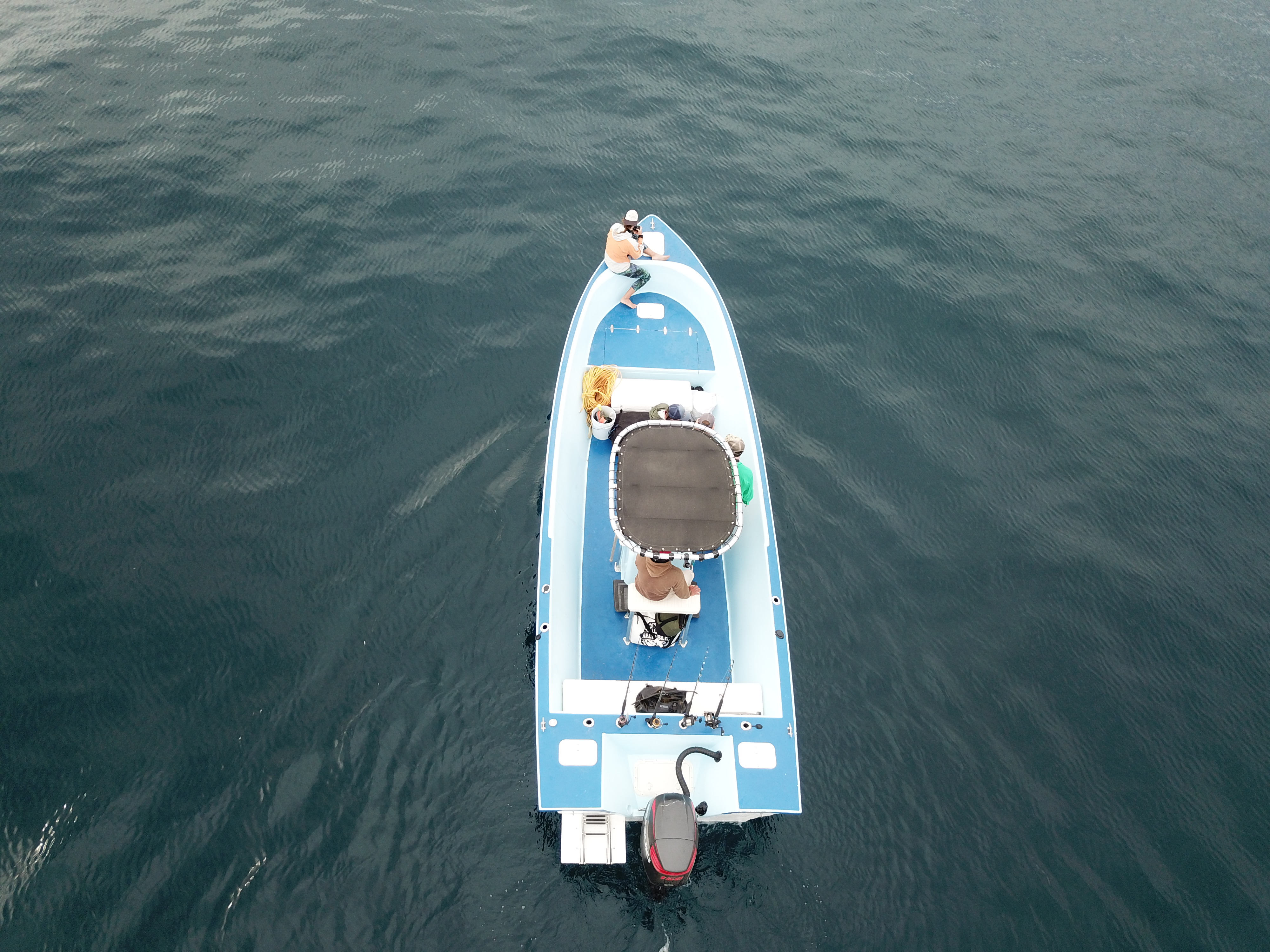 Panga underway, seen from directly overhead
