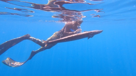 Beginner Spearfishing